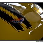 Corvette Flag´s