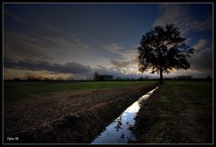 Così in cielo, così in terra