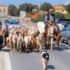 Cosas de pueblos, Niebla, Huelva.