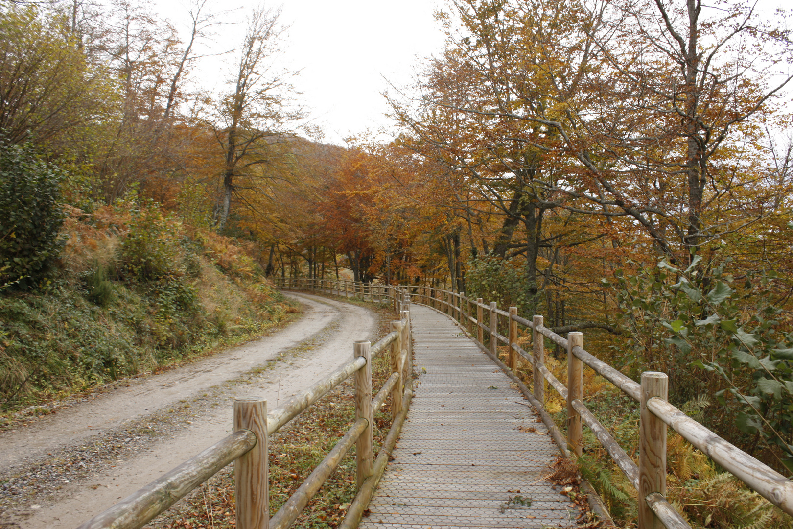 COSAS DEL OTOÑO