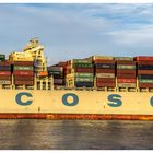 COSCO Belgium