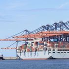 COSCO BELGIUM / Container ship / Rotterdam