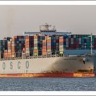 Cosco Belgium passiert am 25.07.2017  Stadersand auf dem Weg nach Hamburg