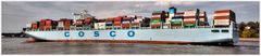 COSCO Denmark