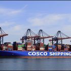 COSCO " GEMINI " , Amazonenhaven, Rotterdam.