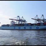Cosco im Containerhafen Tollerort