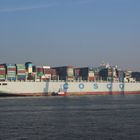 COSCO  ITALY