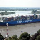 COSCO netherland