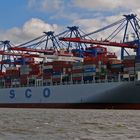 COSCO Portugal