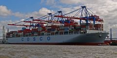 COSCO Portugal