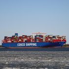 " COSCO SHIPPING ARIES"