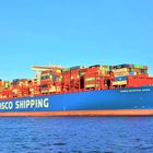 COSCO SHIPPING ARIES