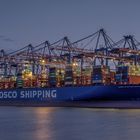 COSCO SHIPPING CAPRICORN 