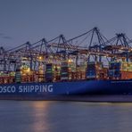 COSCO SHIPPING CAPRICORN 