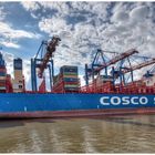 COSCO Shipping Capricorn