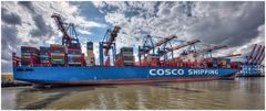 COSCO Shipping Capricorn