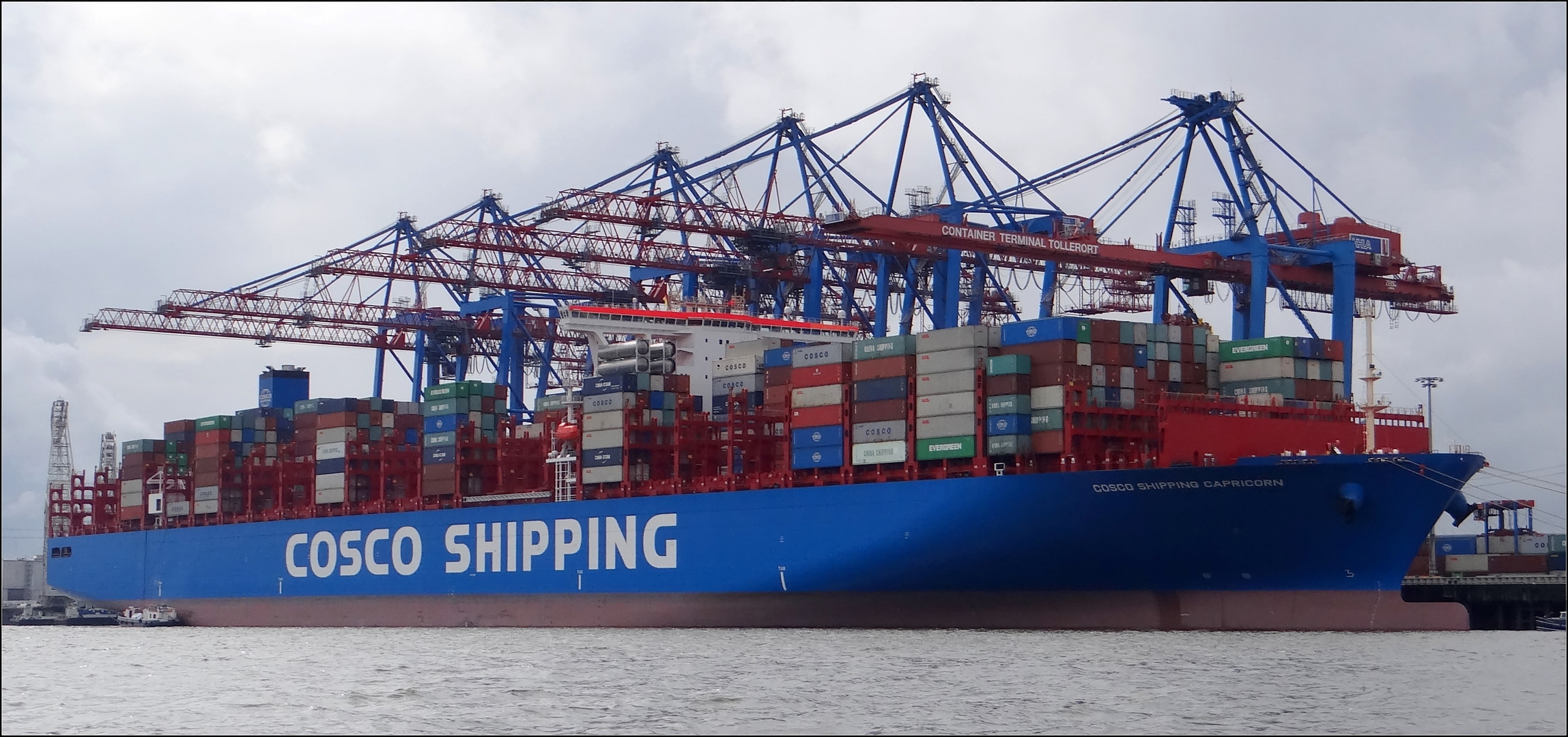 "COSCO SHIPPING CAPRICORN"