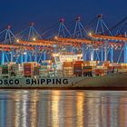 COSCO Shipping Danube - 08082002