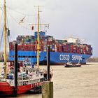 Cosco Shipping Nebula in Höhe Neumühlen