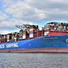 COSCO SHIPPING SAGITTARIUS