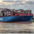 Cosco Shipping Scorpio