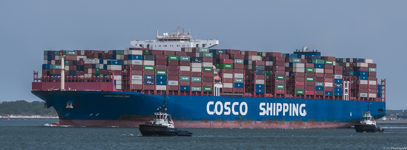 COSCO SHIPPING VIRGO