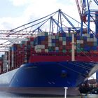 COSCO SHIPPING VIRGO