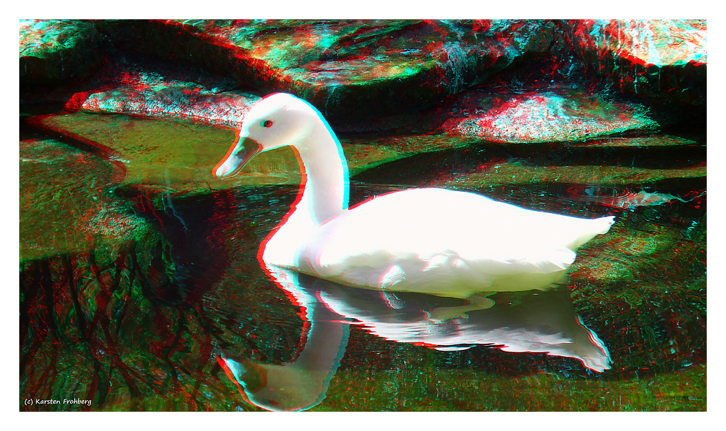 Coscorobaschwan in 3D (Rot/Cyan)