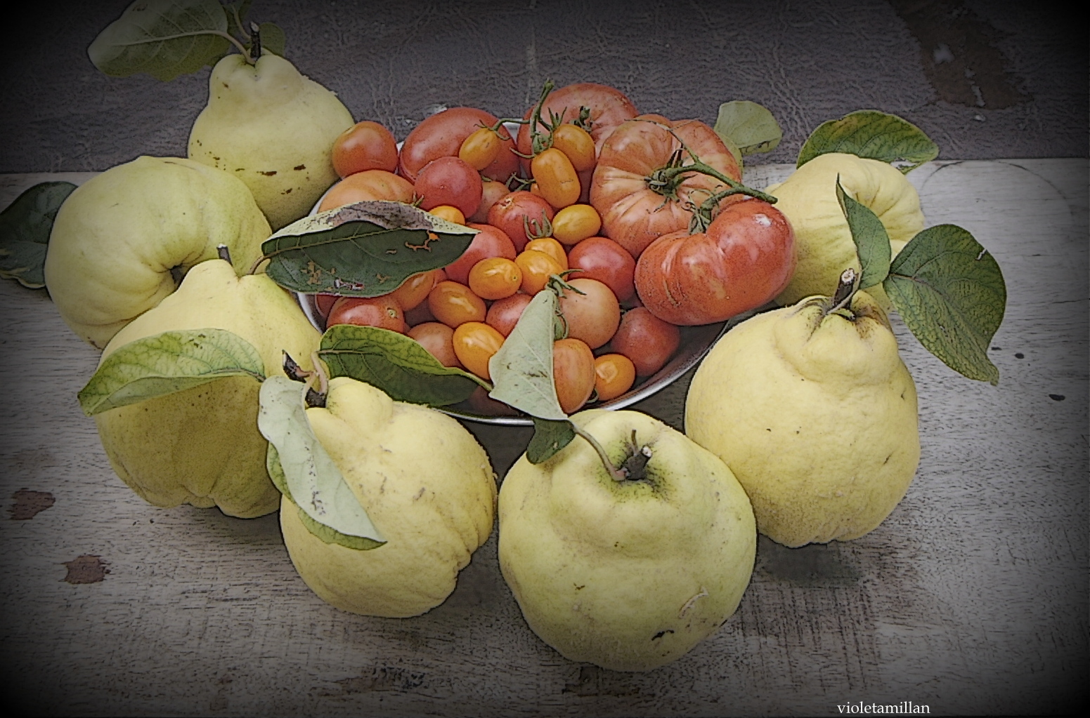 COSECHA CASERAS,MEMBRILLOS,CHERRIES Y TOMATES