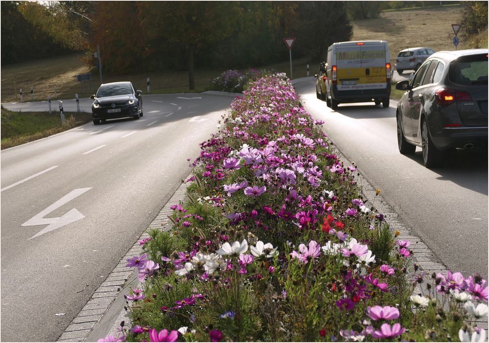 Cosmeen   zum Neugablonz Stadt  