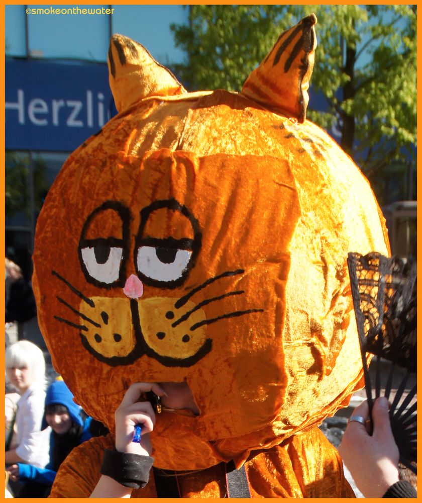 Cosplay 2011: Garfield here!