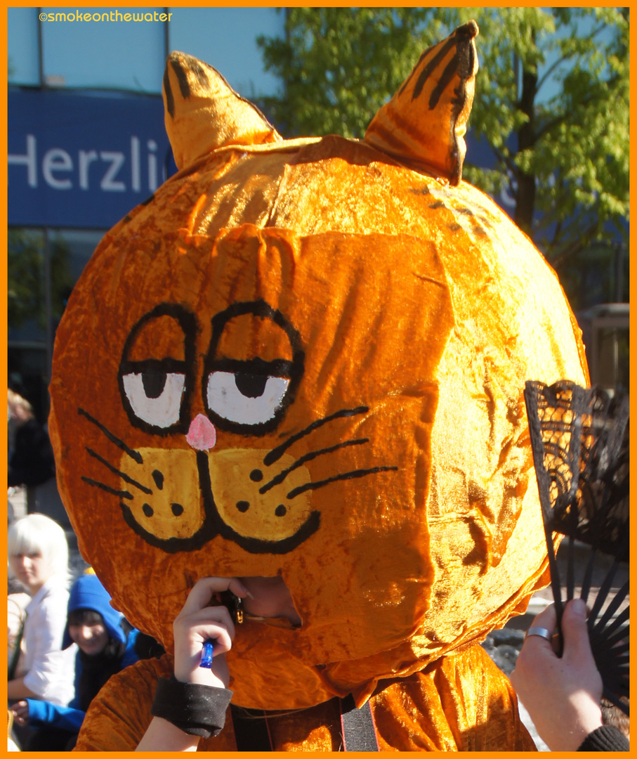 Cosplay 2011: Garfield here!