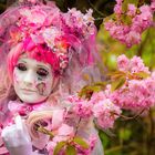 Cosplay beim Kirschblütenfest auf dem Teltower Mauerweg