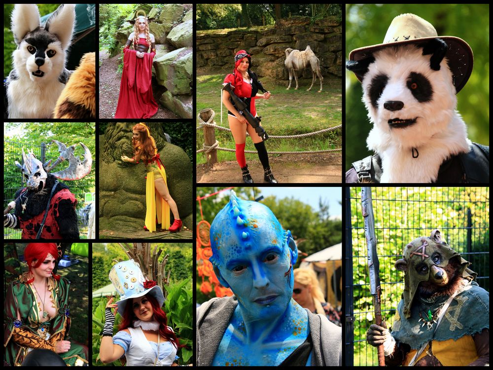 Cosplay Collage