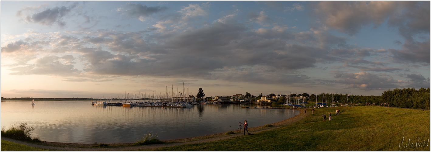 Cospudener Panorama