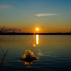 Cospudener See bei Leipzig