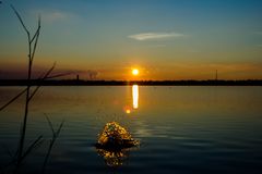 Cospudener See bei Leipzig