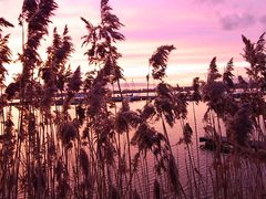 "Cospudener See" im Sonnenuntergang