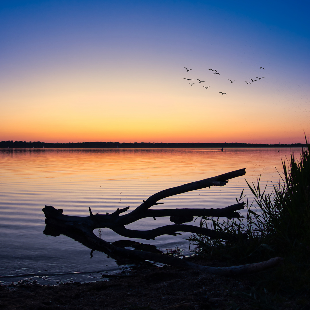 Cospudener See Markkleeberg