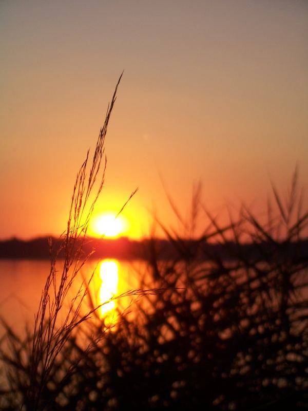 Cospudener See - Sunset