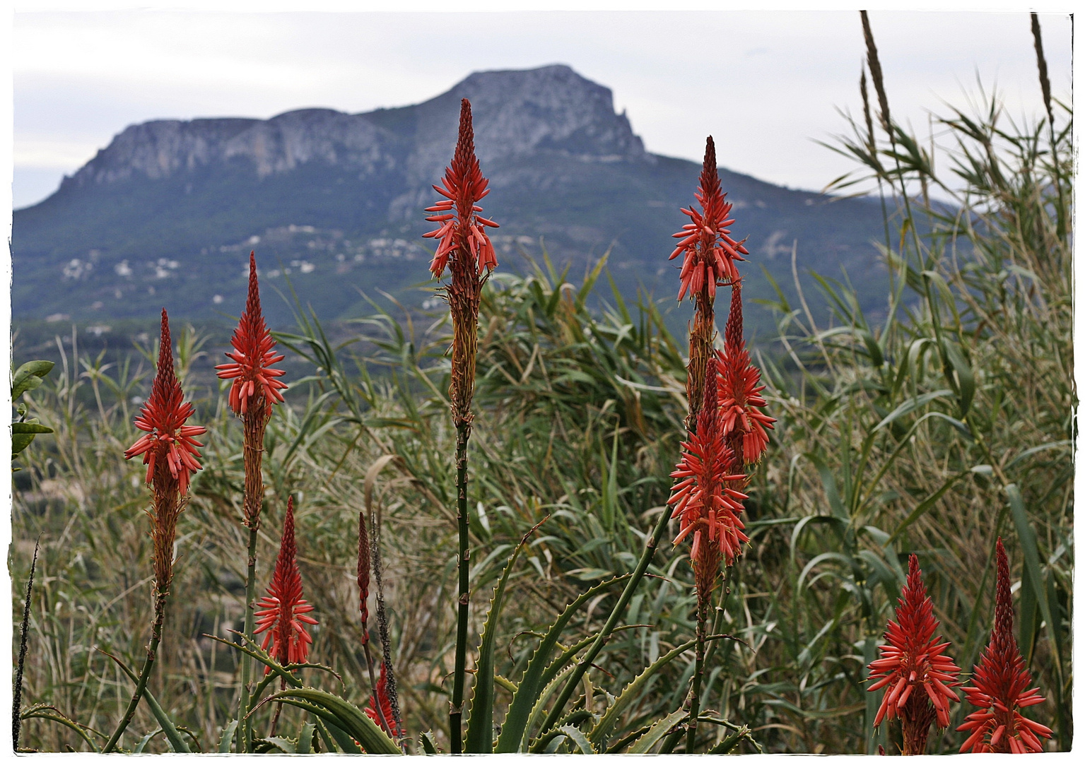 Costa Blanca Impression