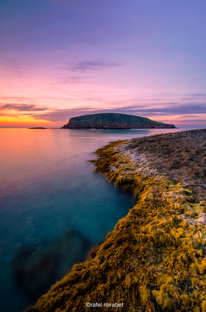 costa cálida (warm coast)