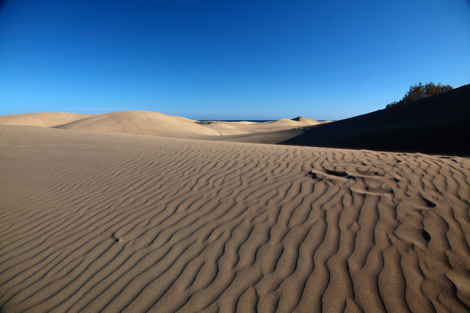 Costa Canaria