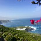 costa de Acentejo