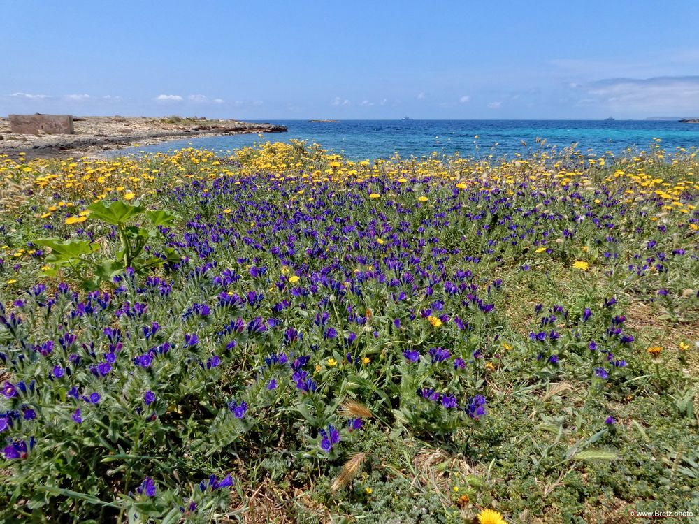 Costa de Colónia de Sant Jordi