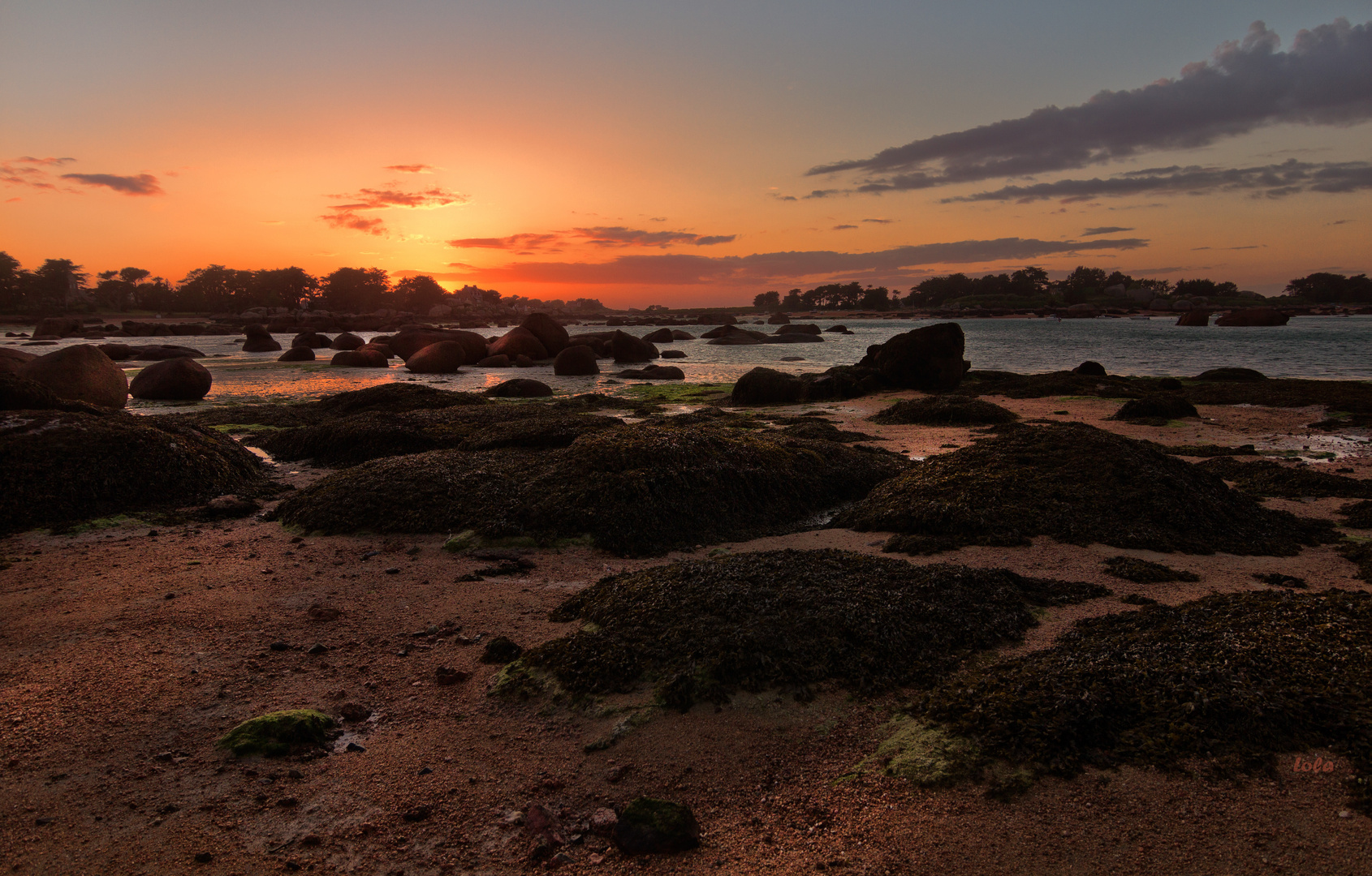 Costa de granito rosa