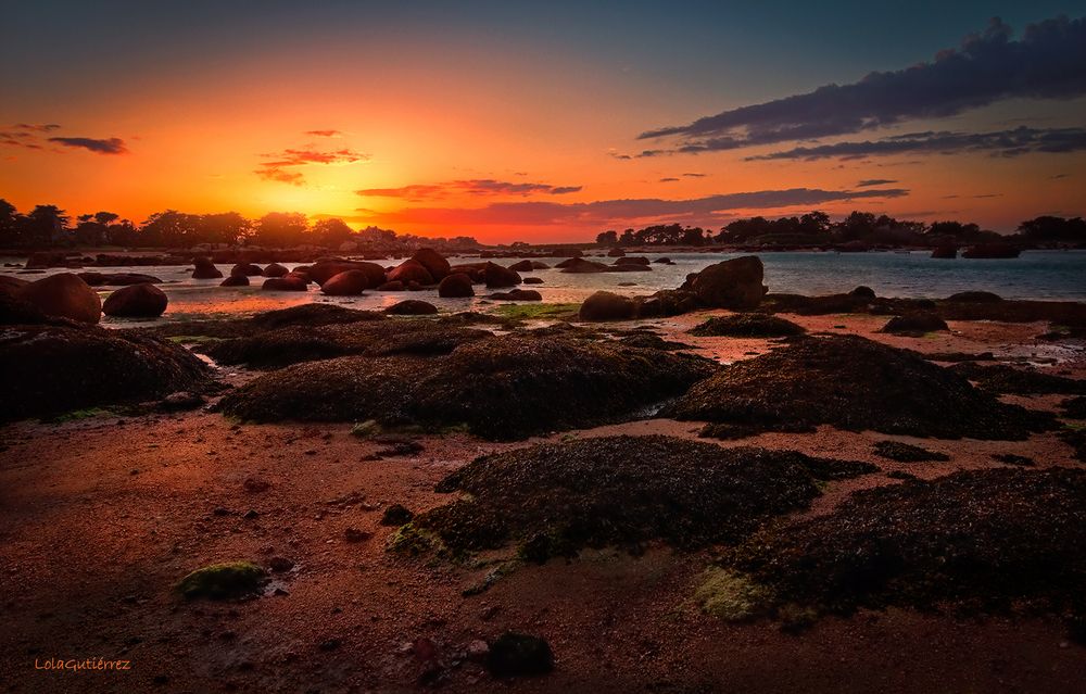 Costa de Granito Rosa