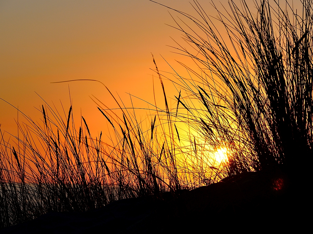 Costa de la luz