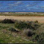 Costa de la Luz (Conil)