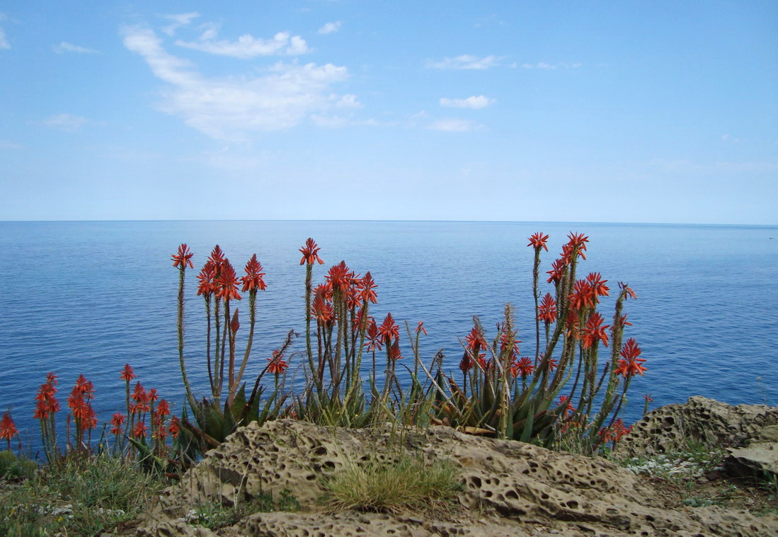 costa española